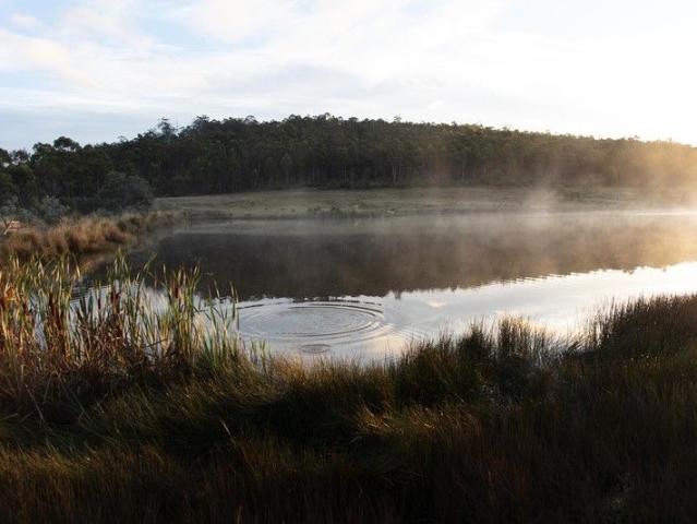 Cottage for sale in Buckland, Tasmania