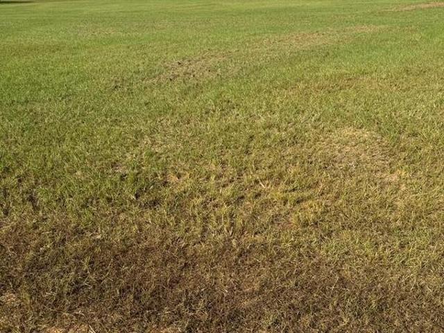 Land for sale in Mccomb