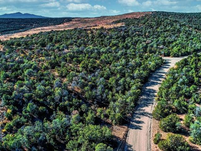 Land for sale in New Mexico