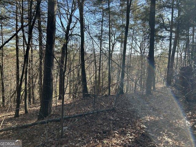 Land for sale in Demorest, Georgia