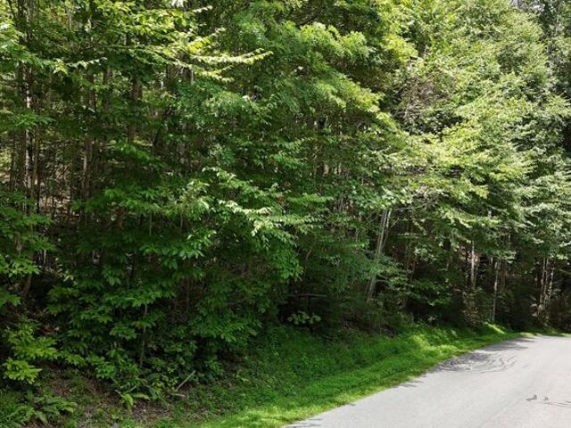 Land for sale in Boone