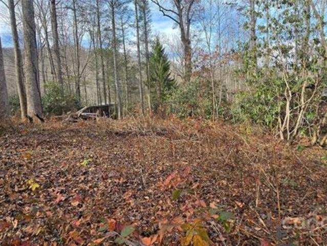 Land for sale in Haywood, North Carolina