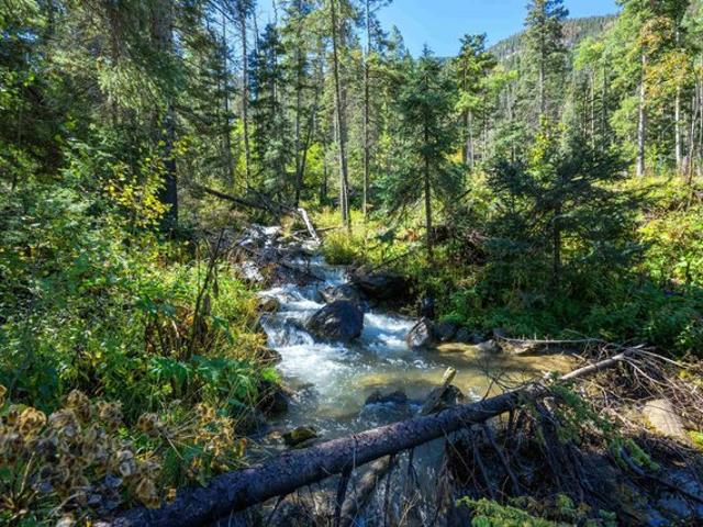 Land for sale in Taos Ski Valley, Taos County