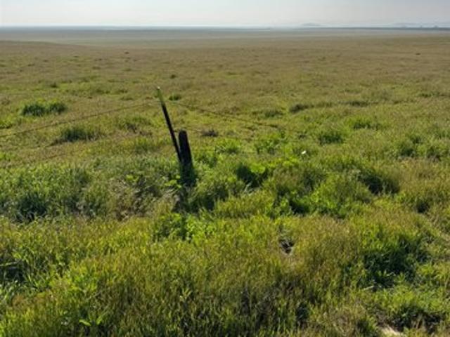 Land for sale in Lost Hills, California
