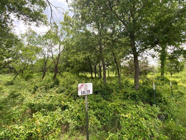 Land for sale in Gustine, Texas