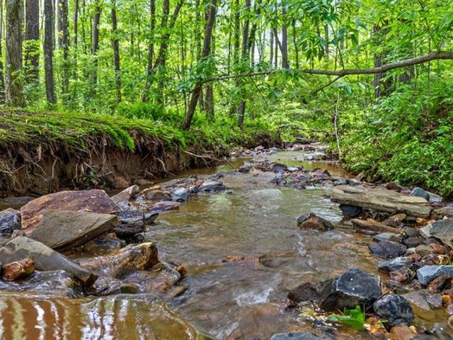 Land for sale in Pickens, Georgia