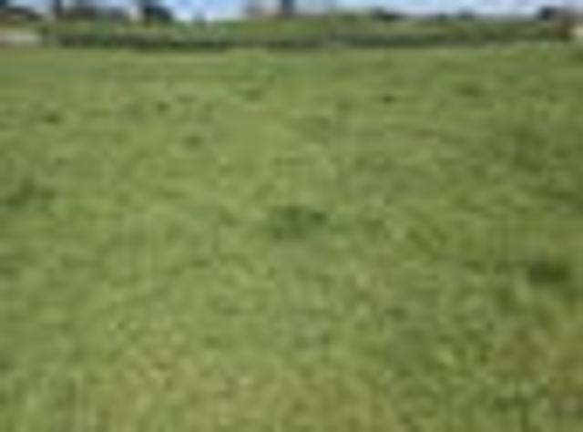 Land for sale in Mamaku, Rotorua Lakes District