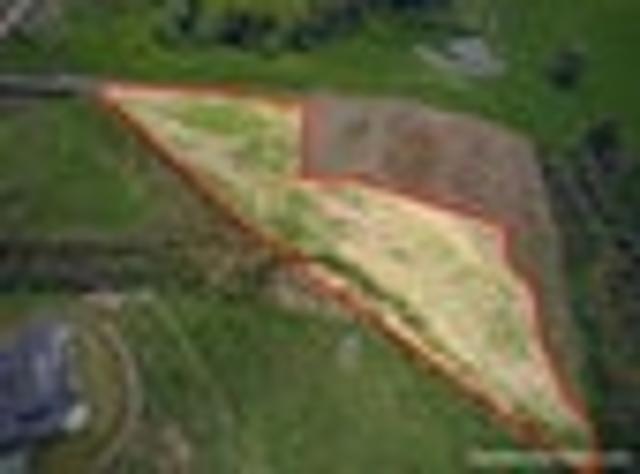 Land for sale in Maungaturoto, Kaipara District
