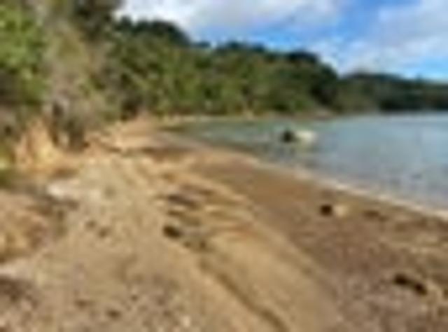 Land for sale in Karetu, Northland