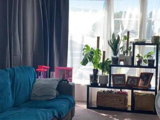 Apartment for rent in Lower Vogeltown, New Plymouth