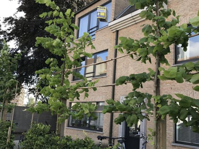 Appartement location à Desteldonk, Oost-Vlaanderen