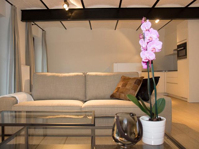 Appartement location à Desteldonk, Oost-Vlaanderen