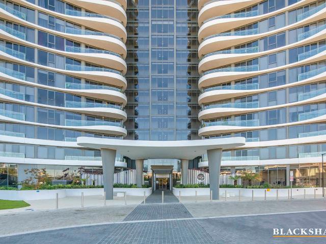 Apartment for rent in Phillip, District of Woden Valley