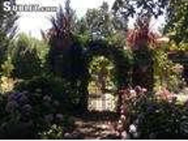 House for rent in Glen Ellen, California