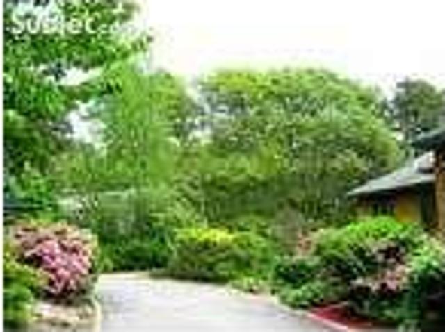 House for rent in East Falmouth, Massachusetts