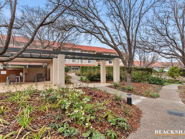 Apartment for rent in Narrabundah, Canberra