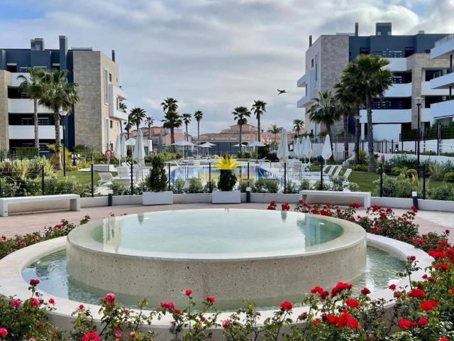 Casa en alquiler en Mercat, Alicante