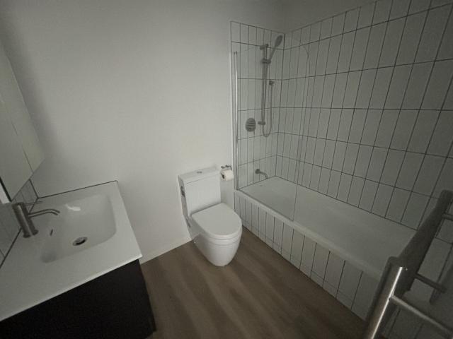 House for rent in Levin