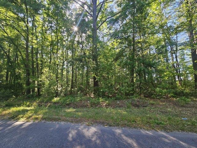 Land for sale in Bowman, South Carolina