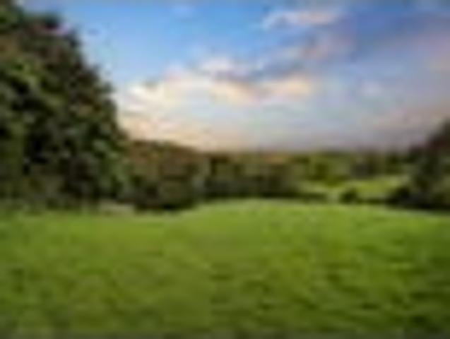 Land for sale in Kawau Island