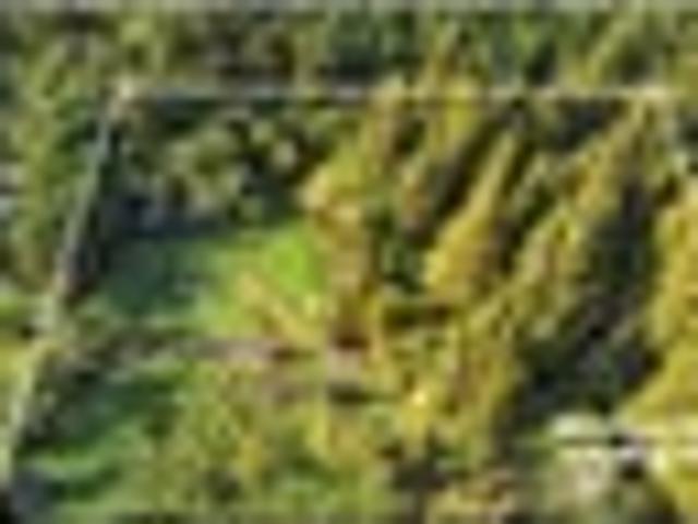 Land for sale in Granity, West Coast