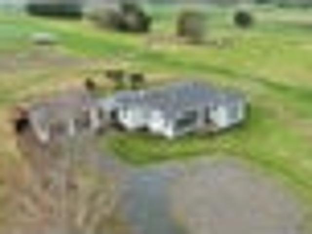 House for sale in Onewhero, Auckland