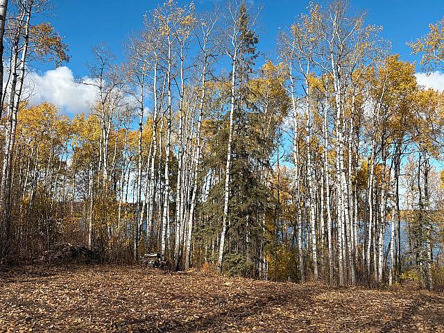 Land for sale in Lloydminster, Alberta