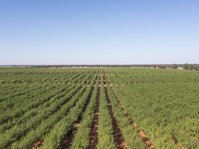 Property for sale in Euroley, New South Wales