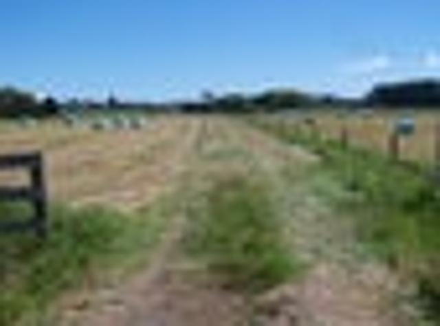 Land for sale in Fairburn, Northland