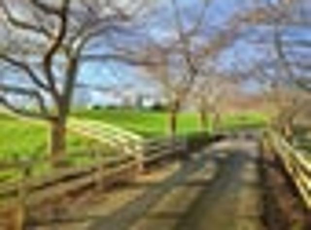 Land for sale in Putaruru, Waikato