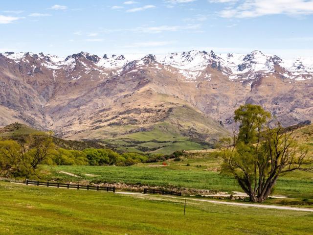 Land for sale in Otakou