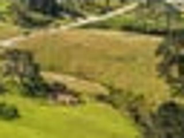 Land for sale in Whangaparaoa