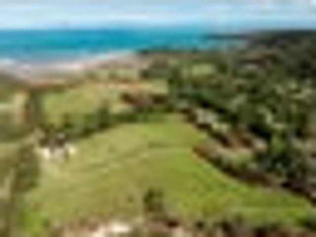 Land for sale in Tasman