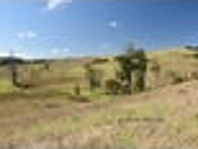 Land for sale in Northland