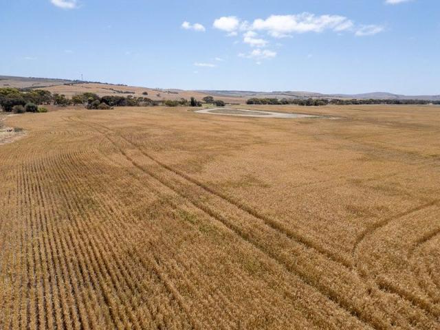 Land for sale in North Shields, South Australia