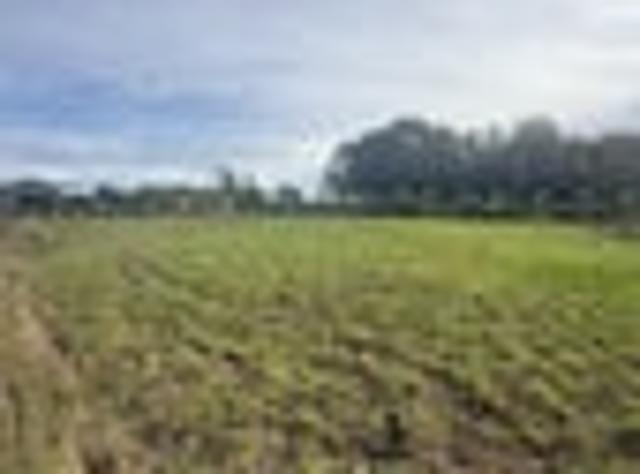 Land for sale in Invercargill, Southland