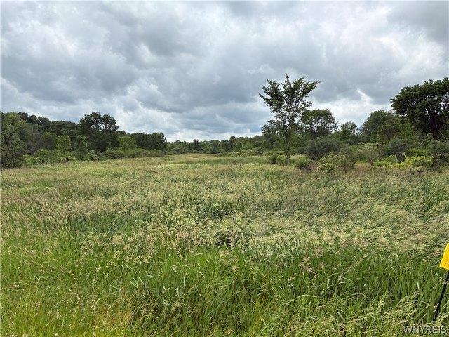 Farm for sale in Aurora, New York