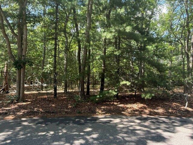 Land for sale in Wainscott