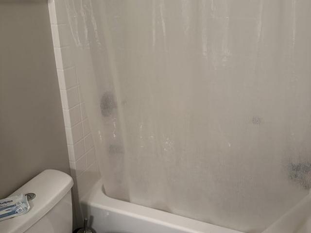 Room for rent in Prescott, Arizona