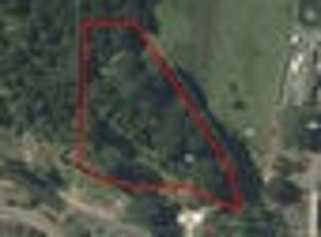 Land for sale in Tapu, Waikato