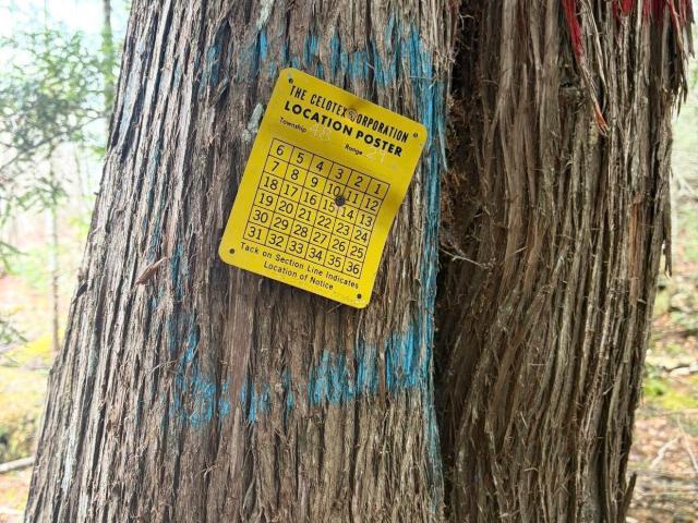 Land for sale in Michigan