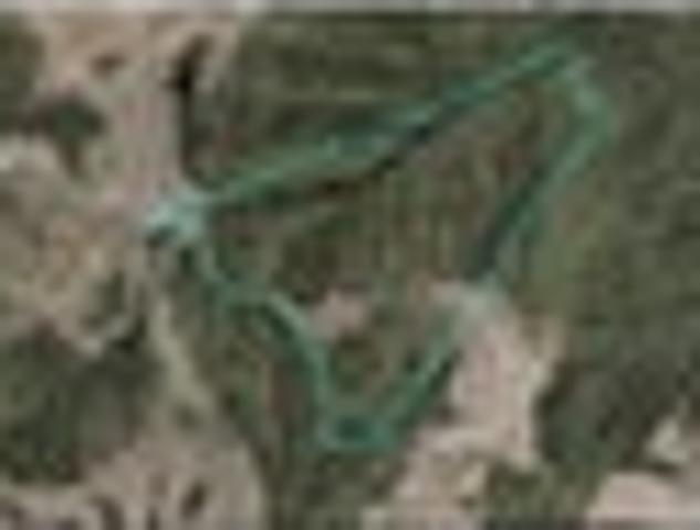 Land for sale in Kawau Island