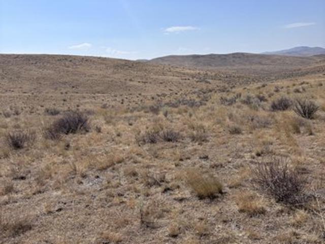 Land for sale in Wells, Nevada
