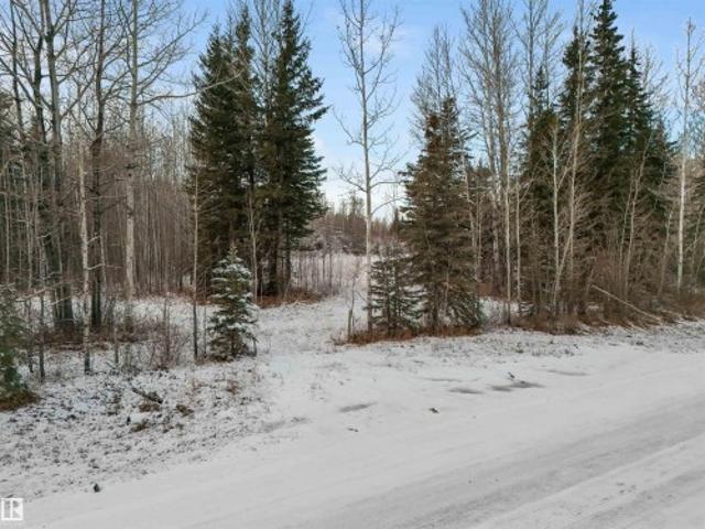 Land for sale in Brazeau, Alberta