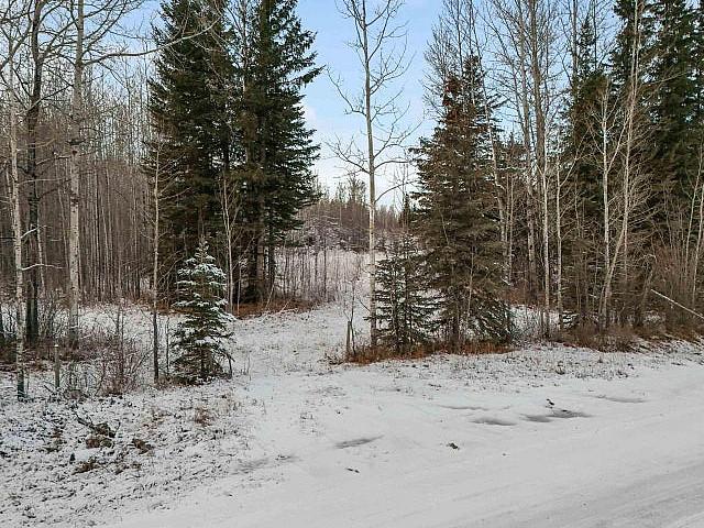 Land for sale in Brazeau, Alberta