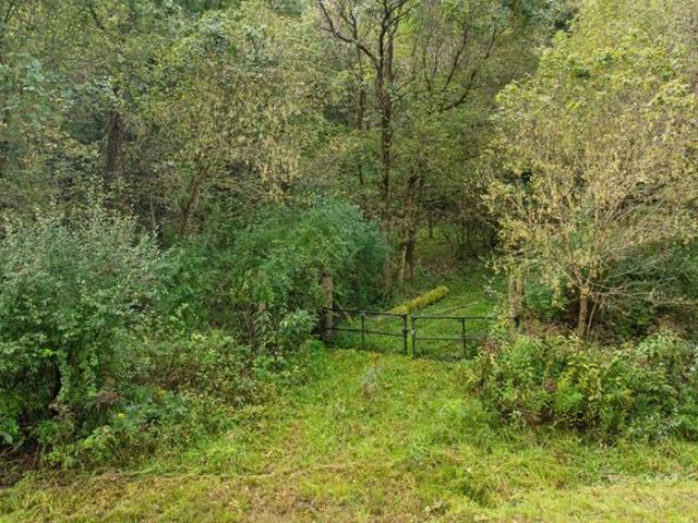 Land for sale in Corning, Perry County