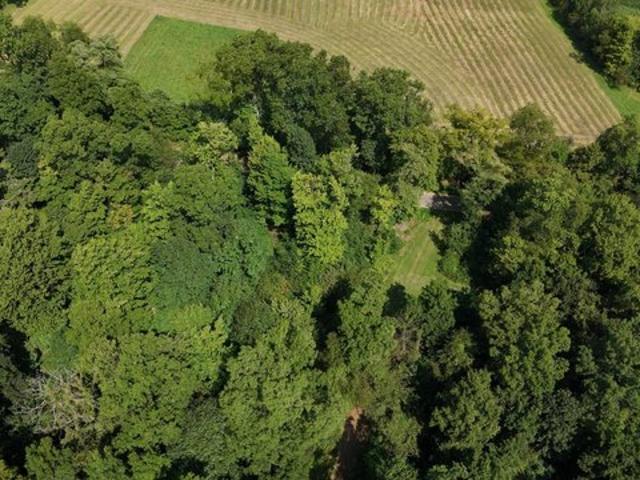 Land for sale in Lakeville, Holmes County