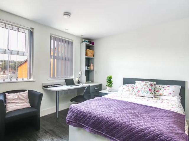 Apartment for rent in Upper Bangor, Bangor