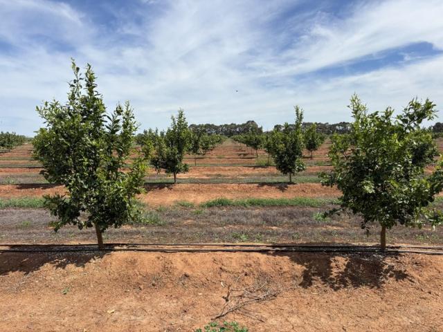 Property for sale in Yielima, Shire of Moira