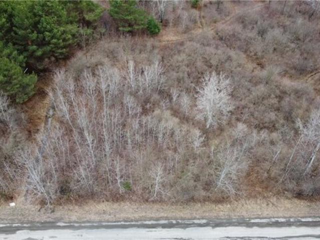 Land for sale in Spencer, New York